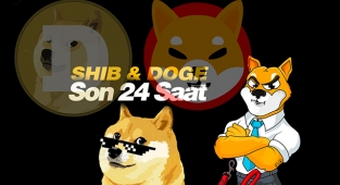 Shiba Inu ve Dogecoin fiyat tahmini! DOGE - SHIB coin son 24 saatte ne oldu?