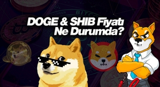 Shiba Inu ve Dogecoin fiyatı ne durumda? SHIB USDT ve DOGE USDT son 24 saatlik grafik