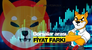 Coinbase Pro Shiba Inu fiyatı uçtu! SHIB USDT borsalarda transfer kapalı, fiyat farkı büyük...