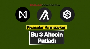 Kripto piyasalar kırmızıya döndü! Bu 3 altcoin NEAR, ALGO ve IOST son 7 günde yüzde 50 üzerinde arttı