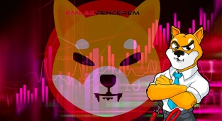 Shiba Inu fiyatı Binance US listelemesi sonrası ne durumda? SHIB 16 Eylül fiyat analizi