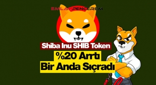 Shiba Inu sert yükseldi! SHİB coin fiyatı yüzde 20 arttı, hızlı toparlandı...