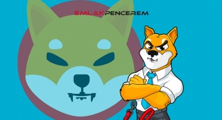 Shiba Inu (SHIB) coinde dalgalı ve kararsız fiyat hareketi...