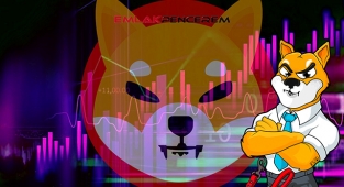 Shiba Inu (SHIB) token yüzde 35 sıçradı! SHIB coin fiyatı uçuşa geçti...