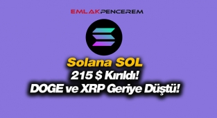 Solana SOL 215 Dolar ile sert yükseldi! SOL coin fiyatı rekor üstüne rekor kırıyor...