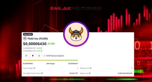 Floki Inu yükselmeye devam ediyor! FLOKI coin fiyatı 7 Ekim analizi