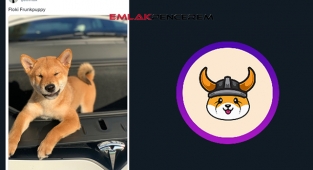 Floki Inu, Elon Musk ile uçuşa geçti! FLOKI coin son durum...
