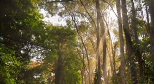 İstanbul'da bu 2 ilçede 3 alan için flaş karar