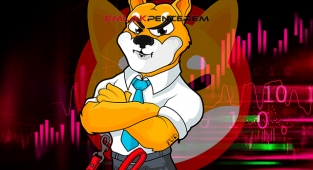 Shiba Inu (SHIB) coin sert sıçrıyor, kritik seviyeleri aştı! SHIB USDT son  günde yüzde 350 arttı...