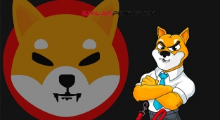 Shiba Inu (SHIB) coin son 24 saatte en çok işlem yapılan kripto varlık oldu! SHIB USDT işlem hacmi %553 oranında arttı