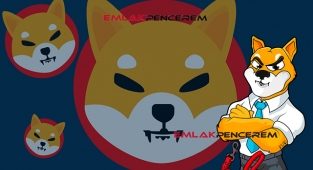 Shiba Inu (SHIB) kritik seviyeyi aştı mı? SHIB coin son 5 günde yüzde 22 yükseldi...