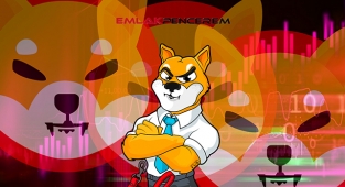 Shiba Inu (SHIB) sert yükseldi! Tüm coinler düşerken SHIB coin yeni zirvelere doğru...
