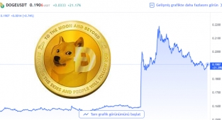 Elon Musk yine Doge tweeti attı! Dogecoin Tesla ve Musk gazıyla yüzde 25 arttı...