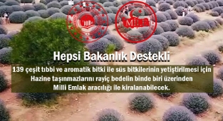 Hepsi Bakanlık destekli! Hazine taşınmazları rayiç bedelin binde biri üzerinden Milli Emlak üzerinden kiraya verilecek...