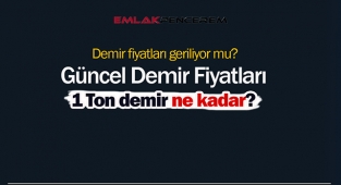 1 ton demir fiyatı ne kadar oldu?