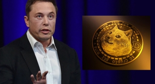 Elon Musk, hangi kripto paralara sahip? Musk ne dedi? Dogecoin neden kısa süreli sıçradı?
