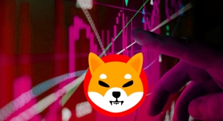 Shiba Inu (SHIB) meme coin yine yeşillendi! SHIB token yüzde 20 arttı...
