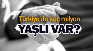 Türkiye'de kaç milyon yaşlı var?