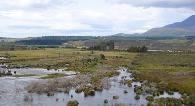 2022 Sulak Alanların Korunması hakkında kritik düzenleme