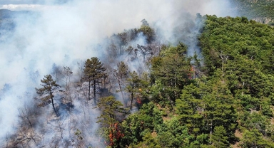 Ormanlık alanlar yasaklanmaya başladı! Balıkesir'de ormanlık alanlara yasak getirildi...