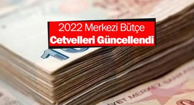 2022 Merkezi Bütçe cetvellerinde değişiklik