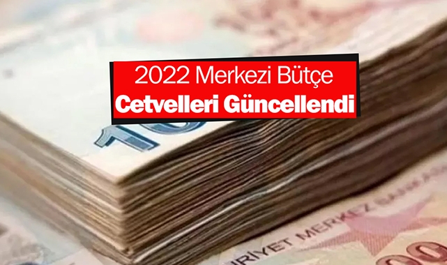 2022 Merkezi Bütçe cetvellerinde değişiklik