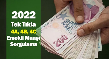 4A, 4B, 4C 2022 emekli maaşı hesaplaması tek tıkla hızlı hesaplama! emekli maaş hesaplama, sorgulama nereden nasıl yapılacak?