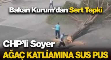 CHP'li İzmir Büyükşehirin ağaç katliamına Bakan Kurum sessiz kalmadı! Yerine yenilerini dikeriz
