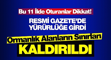 Bu 11 il için flaş orman sınırları kararı! Resmi Gazete'de yürürlüğe girdi