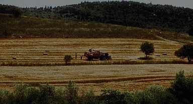 Çanakkale ve Gümüşhane'de arazi toplulaştırma kararı Resmi Gazete'de
