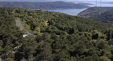 İstanbul Beykoz'da o bölge için kritik karar verildi