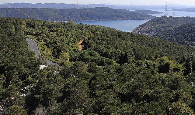 İstanbul Beykoz'da o bölge için kritik karar verildi