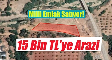 Milli Emlak, Aydın'da 15 Bin TL'ye arsa satacak! Bu fiyata başka yok...
