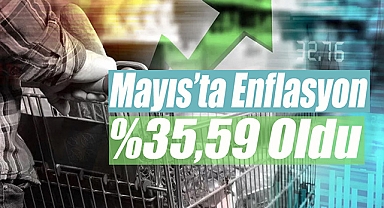 2023 Mayıs ayı enflasyonu yüze 39.59 oldu! İşte TÜİK verilerine göre enflasyon rakamları