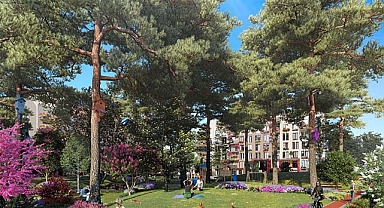 DAPGM Ormanköy Çekmeköy'de İskan aldı