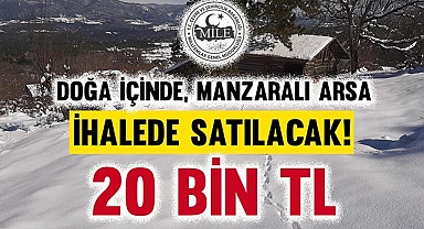 Milli Emlak telefon fiyatına arsa satıyor! 400 metrekare, doğa içinde manzaralı arsa 20 Bin TL'den satışa çıktı