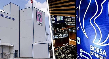 Ofis Yem Gıda Sanayi Ticaret ne zaman halka arz olacak, kaç lot verir?