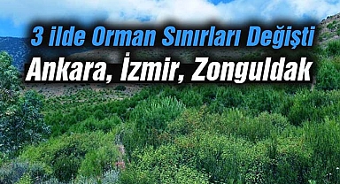 Bu 3 ilde orman sınırları değişti