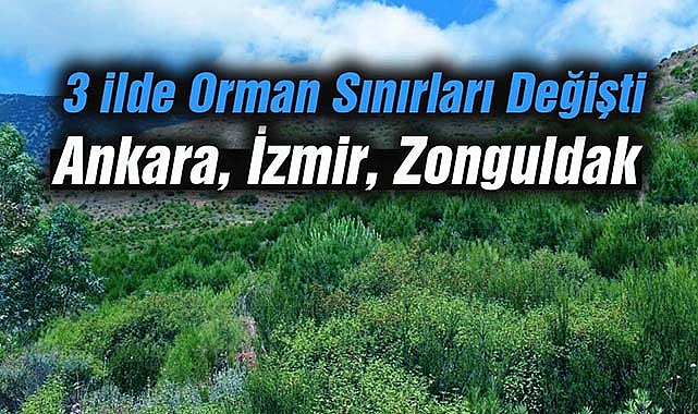 Bu 3 ilde orman sınırları değişti