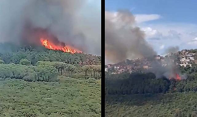 İstanbul'da Maltepe Başıbüyük ormanlık alanında yangın
