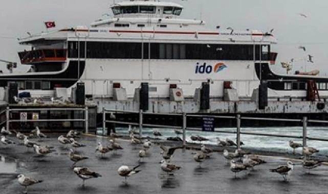 Marmara Denizi dalgalı! İDO ve BUDO iptal edilen seferleri açıkladı