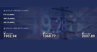 Spot piyasada bir megavatsaat elektrik fiyatı ne kadar oldu?