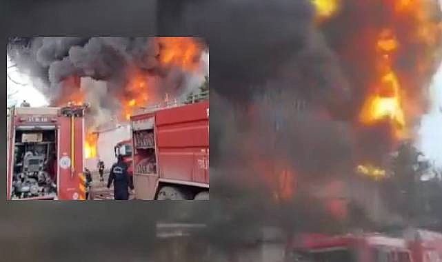 Kocaeli'de dev kimya fabrikası alev alev yanıyor!