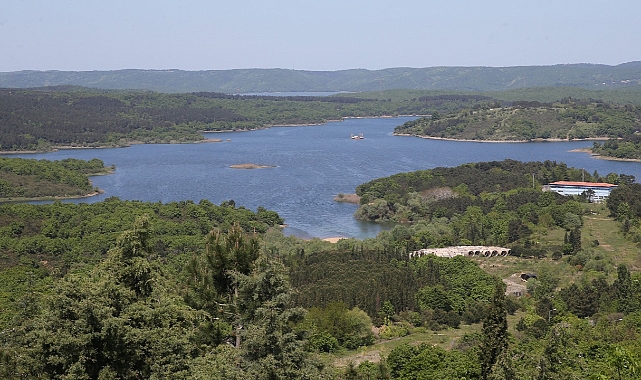 İstanbul'un ormanlık alanlarına Valilik tarafından kritik kısıtlama! İşte o yasaklı ormanların listesi...