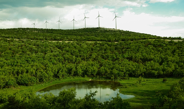 Polat Enerji, Rüzgâr Enerjisinin Önemine Dikkat Çekiyor