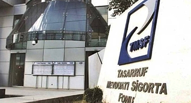 TMSF elindeki üç şirketi ihalede satacak!