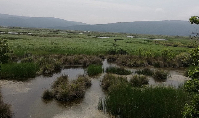 Bursa'da Kocaçay Deltası için kritik karar verildi!