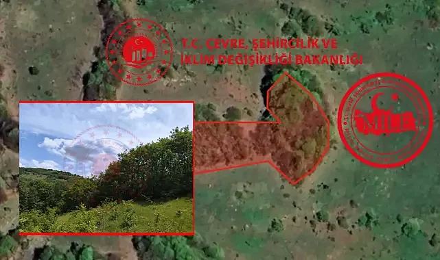 Milli Emlak duyurdu: Bu ilde 140 Bine satılık arsa