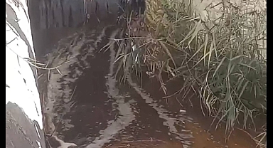 İzmir Körfezini kirleten Büyükşehir Belediyesi'ne para cezası kesildi