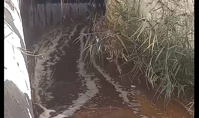 İzmir Körfezini kirleten Büyükşehir Belediyesi'ne para cezası kesildi